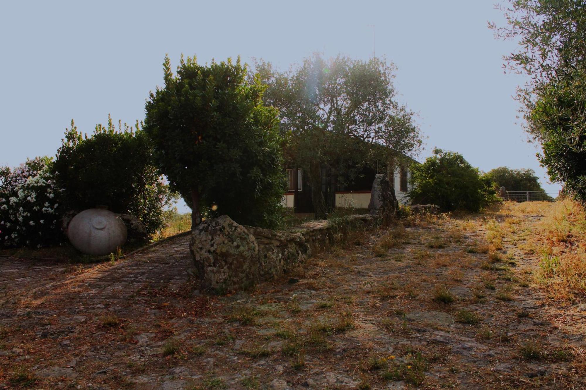 Agriturismo Su Recreu Ittiri Exteriér fotografie