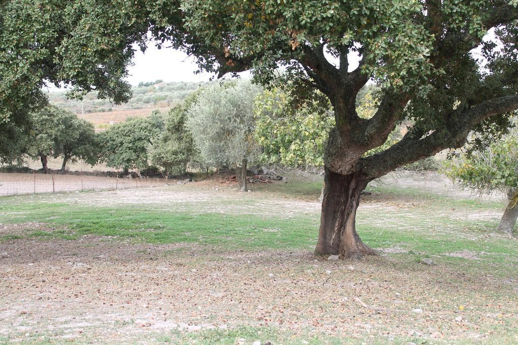 Agriturismo Su Recreu Ittiri Exteriér fotografie