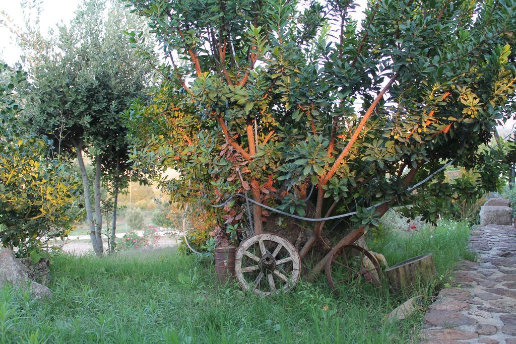 Agriturismo Su Recreu Ittiri Exteriér fotografie