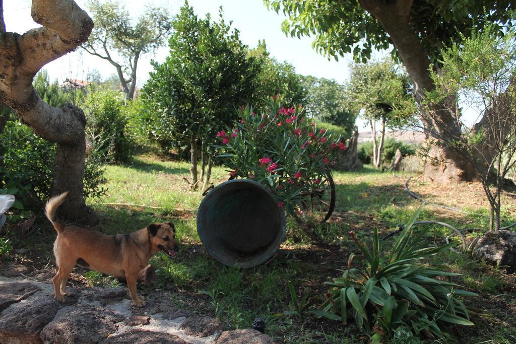Agriturismo Su Recreu Ittiri Exteriér fotografie