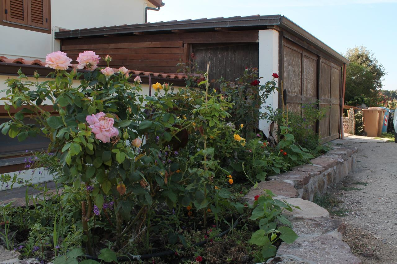 Agriturismo Su Recreu Ittiri Exteriér fotografie